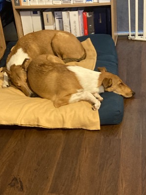 Warten auf Feierabend!