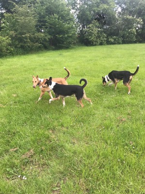 Treffen von Aiko