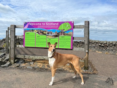 Welcome to Scotland