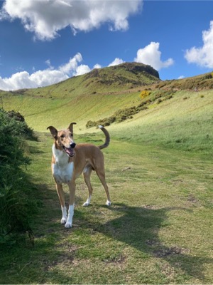 Sir Arthur’s Seat