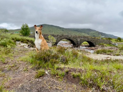 Sligachan Old Bridge