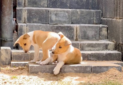 Taking the steps for the first time